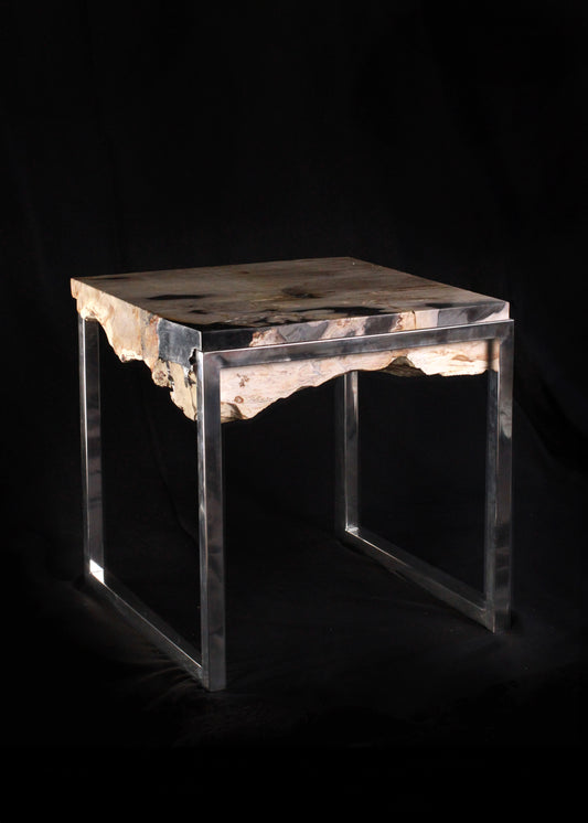 Custom Chrome and Polished Petrified Wood End Table
